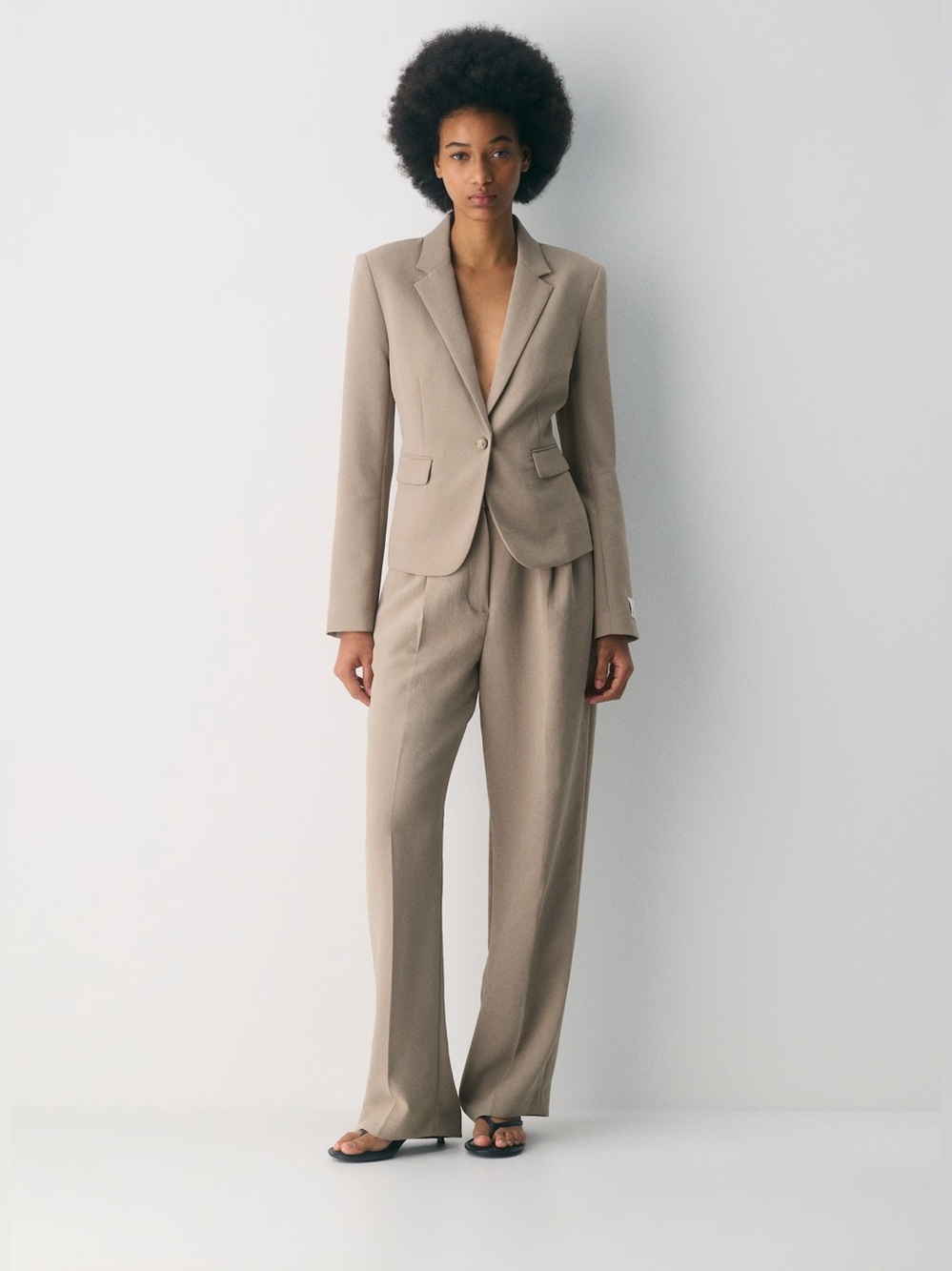 Aritzia Etiquette Blazer - Crepette™